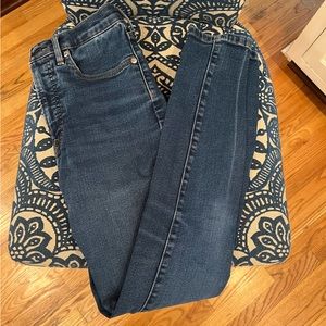 Everlane Curvy High Rise Skinny Jean